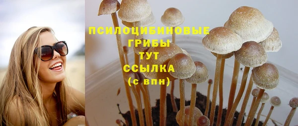 стафф Беломорск