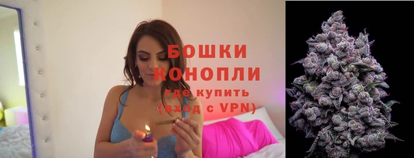 СК Белокуриха