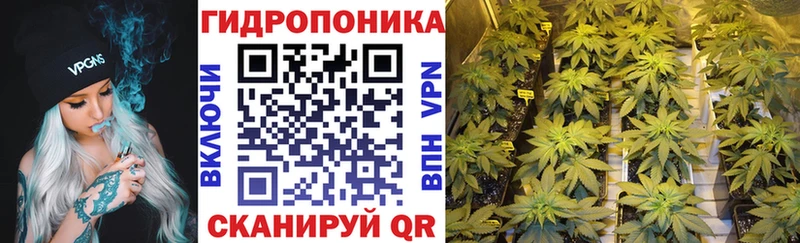 Бошки марихуана семена  Борисоглебск 